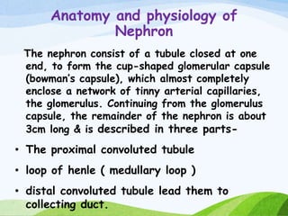 Anatomy and physiology of
Nephron
The nephron consist of a tubule closed at one
end, to form the cup-shaped glomerular capsule
(bowman’s capsule), which almost completely
enclose a network of tinny arterial capillaries,
the glomerulus. Continuing from the glomerulus
capsule, the remainder of the nephron is about
3cm long & is described in three parts-
• The proximal convoluted tubule
• loop of henle ( medullary loop )
• distal convoluted tubule lead them to
collecting duct.
 