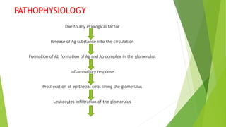 PATHOPHYSIOLOGY
Due to any etiological factor
Release of Ag substance into the circulation
Formation of Ab formation of Ag and Ab complex in the glomerulus
Inflammatory response
Proliferation of epithelial cells lining the glomerulus
Leukocytes infiltration of the glomerulus
 