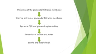 Thickening of the glomerular filtration membrane
Scarring and loss of glomerular filtration membrane
Decrease GFR and glomerulus plasma flow
Retention of sodium and water
Edema and hypertension
 