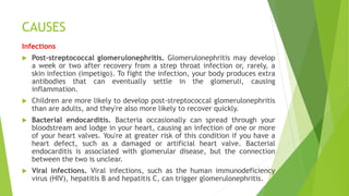 CAUSES
Infections
 Post-streptococcal glomerulonephritis. Glomerulonephritis may develop
a week or two after recovery from a strep throat infection or, rarely, a
skin infection (impetigo). To fight the infection, your body produces extra
antibodies that can eventually settle in the glomeruli, causing
inflammation.
 Children are more likely to develop post-streptococcal glomerulonephritis
than are adults, and they're also more likely to recover quickly.
 Bacterial endocarditis. Bacteria occasionally can spread through your
bloodstream and lodge in your heart, causing an infection of one or more
of your heart valves. You're at greater risk of this condition if you have a
heart defect, such as a damaged or artificial heart valve. Bacterial
endocarditis is associated with glomerular disease, but the connection
between the two is unclear.
 Viral infections. Viral infections, such as the human immunodeficiency
virus (HIV), hepatitis B and hepatitis C, can trigger glomerulonephritis.
 
