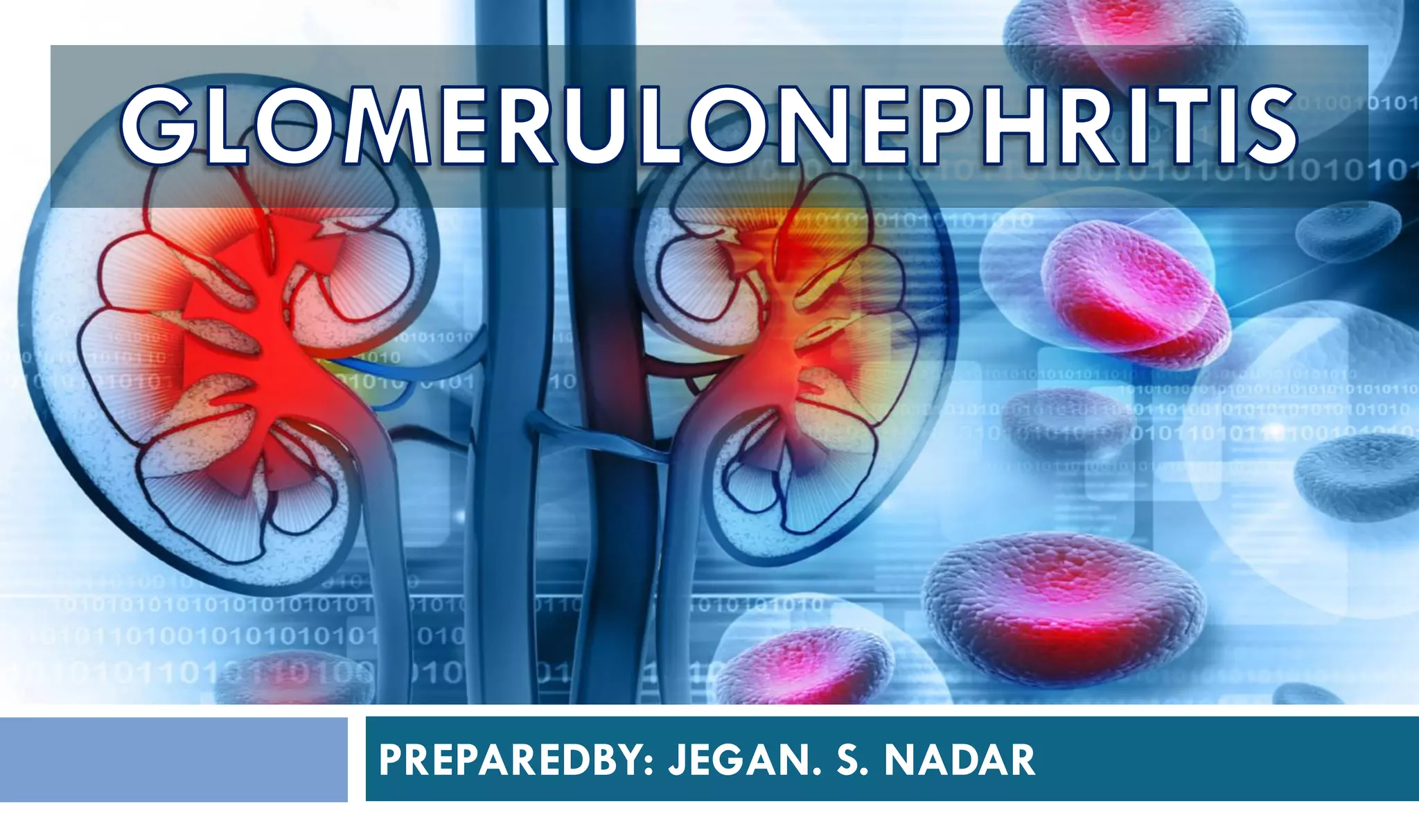 Pathophysiology of Glomerulonephritis | PDF