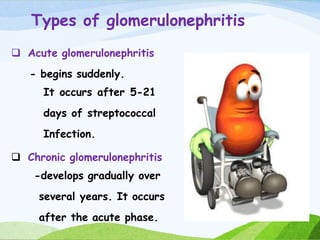 Types of glomerulonephritis
 Acute glomerulonephritis
- begins suddenly.
It occurs after 5-21
days of streptococcal
Infection.
 Chronic glomerulonephritis
-develops gradually over
several years. It occurs
after the acute phase.
 