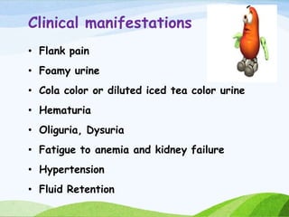 Clinical manifestations
• Flank pain
• Foamy urine
• Cola color or diluted iced tea color urine
• Hematuria
• Oliguria, Dysuria
• Fatigue to anemia and kidney failure
• Hypertension
• Fluid Retention
 