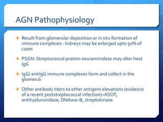 AGN Pathophysiology
 Result from glomerular deposition or in situ formation of
immune complexes : kidneys may be enlarged upto 50% of
cases
 PSGN: Streptococcal protein neuraminidase may alter host
IgG
 IgG/ antiIgG immune complexes form and collect in the
glomeruli
 Other antibody titers to other antigens elevations (evidence
of a recent poststreptococcal infection)=ASOT,
antihyaluronidase, DNAase-B, streptokinase
 
