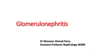 Glomerulonephritis
1
Dr Manzoor Ahmad Parry
Assistant Professor Nephrology SKIMS
 