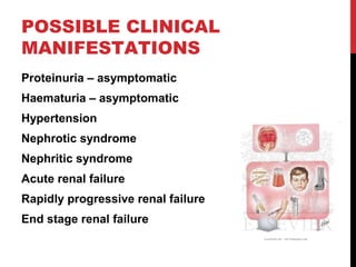 14
POSSIBLE CLINICAL
MANIFESTATIONS
Proteinuria – asymptomatic
Haematuria – asymptomatic
Hypertension
Nephrotic syndrome
Nephritic syndrome
Acute renal failure
Rapidly progressive renal failure
End stage renal failure
 