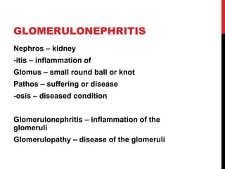 3
GLOMERULONEPHRITIS
Nephros – kidney
-itis – inflammation of
Glomus – small round ball or knot
Pathos – suffering or disease
-osis – diseased condition
Glomerulonephritis – inflammation of the
glomeruli
Glomerulopathy – disease of the glomeruli
 