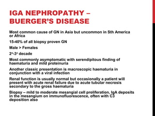 34
IGA NEPHROPATHY –
BUERGER’S DISEASE
Most common cause of GN in Asia but uncommon in Sth America
or Africa
15-40% of all biopsy proven GN
Male > Females
2nd
-3rd
decade
Most commonly asymptomatic with serendipitous finding of
haematuria and mild proteinuria
Another classic presentation is macroscopic haematuria in
conjunction with a viral infection
Renal function is usually normal but occasionally a patient will
present with acute renal failure due to acute tubular necrosis
secondary to the gross haematuria
Biopsy – mild to moderate mesangial cell proliferation, IgA deposits
in the mesangium on immunofluorescence, often with C3
deposition also
 