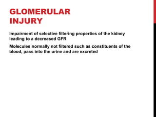 9
GLOMERULAR
INJURY
Impairment of selective filtering properties of the kidney
leading to a decreased GFR
Molecules normally not filtered such as constituents of the
blood, pass into the urine and are excreted
 