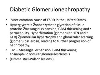 Diabetic Glomerulonephropathy
• Most common cause of ESRD in the United States.
• Hyperglycemia Žnonenzymatic glycation of tissue
proteins Žmesangial expansion; GBM thickening and •
permeability. Hyperfiltration (glomerular HTN and •
GFR) Žglomerular hypertrophy and glomerular scarring
(glomerulosclerosis) leading to further progression of
nephropathy.
• LM—Mesangial expansion, GBM thickening,
eosinophilic nodular glomerulosclerosis
• (Kimmelstiel-Wilson lesions )
 