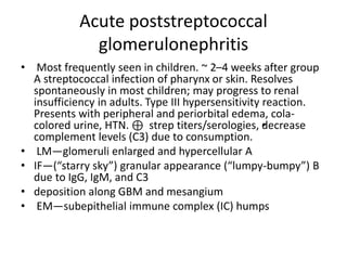 Acute poststreptococcal
glomerulonephritis
• Most frequently seen in children. ~ 2–4 weeks after group
A streptococcal infection of pharynx or skin. Resolves
spontaneously in most children; may progress to renal
insufficiency in adults. Type III hypersensitivity reaction.
Presents with peripheral and periorbital edema, cola-
colored urine, HTN. ⊕ strep titers/serologies, •
decrease
complement levels (C3) due to consumption.
• LM—glomeruli enlarged and hypercellular A
• IF—(“starry sky”) granular appearance (“lumpy-bumpy”) B
due to IgG, IgM, and C3
• deposition along GBM and mesangium
• EM—subepithelial immune complex (IC) humps
 