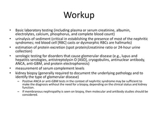 Workup
• Basic laboratory testing (including plasma or serum creatinine, albumin,
electrolytes, calcium, phosphorus, and complete blood count)
• urinalysis of sediment (critical in establishing the presence of most of the nephritic
syndromes; red blood cell [RBC] casts or dysmorphic RBCs are hallmarks)
• estimation of protein excretion (spot protein/creatinine ratio or 24-hour urine
collection)
• serologic testing for disorders that cause glomerular disease (e.g., lupus and
hepatitis serologies, antistreptolysin O [ASO], cryogobulins, antinuclear antibody,
ANCA, anti-GBM, and protein electrophoresis)
• measurement of serum complement levels
• kidney biopsy (generally required to document the underlying pathology and to
identify the type of glomerular disease)
– Positive ANCA or anti-GBM tests in the context of nephritic syndrome may be sufficient to
make the diagnosis without the need for a biopsy, depending on the clinical status and kidney
function.
– If membranous nephropathy is seen on biopsy, then molecular and antibody studies should be
considered.
 