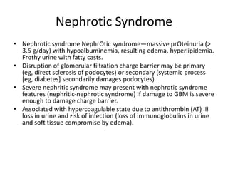 Nephrotic Syndrome
• Nephrotic syndrome NephrOtic syndrome—massive prOteinuria (>
3.5 g/day) with hypoalbuminemia, resulting edema, hyperlipidemia.
Frothy urine with fatty casts.
• Disruption of glomerular filtration charge barrier may be primary
(eg, direct sclerosis of podocytes) or secondary (systemic process
[eg, diabetes] secondarily damages podocytes).
• Severe nephritic syndrome may present with nephrotic syndrome
features (nephritic-nephrotic syndrome) if damage to GBM is severe
enough to damage charge barrier.
• Associated with hypercoagulable state due to antithrombin (AT) III
loss in urine and •
risk of infection (loss of immunoglobulins in urine
and soft tissue compromise by edema).
 