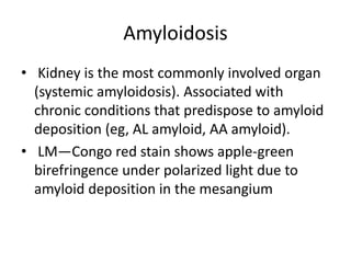 Amyloidosis
• Kidney is the most commonly involved organ
(systemic amyloidosis). Associated with
chronic conditions that predispose to amyloid
deposition (eg, AL amyloid, AA amyloid).
• LM—Congo red stain shows apple-green
birefringence under polarized light due to
amyloid deposition in the mesangium
 