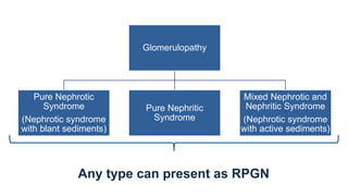 Crescentic Rpgn Crescentric Glomerulonephritis (RPGN) | PPTX
