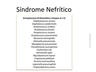 Síndrome Nefrítico

Nefrologia Janeiro/10

Estreptococos B-Hemolítico ( Grupos A e C)
Staphylococcus aureus
Staphyloccus epidermidis
Streptococcus viridans
Streptococcus fecalis
Streptococcus mutans
Streptococcus pneumoniae
Neisseria meningitidis
Klebsiella pneumoniae
Mycoplasma pneumoniae
Pseudomonas aureuginosa
Escherichia coli
Salmonella typhi
Mycobacterium leprae
Treponema pallidum
Yersinia enterocolitica
Legionella pneumophila
Propionibacteriu acnes

 