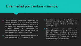 Enfermedad por cambios mínimos.
 También se llama enfermedad o nefropatía con
cambios mínimos. Es la causa mas frecuente de
síndrome nefrótico en la infancia y constituye el
80% de los casos diagnosticados entre los 2 y los
6 años. Además, es responsable de
aproximadamente el 20% de los casos de
síndrome nefrótico idiopatico del adulto.
 Origina entre 70 y 90% del síndrome nefrótico en
niños pero sólo de 10 a 15% en los adultos.
 La nefropatía parece ser el resultado de una
actividad anormal de los linfocitos T que
liberarían linfocinas y factores circulantes aun
no identificados.
 Se generaría un factor de
permeabilidad/linfocina que tendría afinidad
por las células epiteliales glomerulares,
produciendo fusión parcial de los pedicelos
con proteinuria y pérdida de la barrera
selectiva de carga de la membrana.
 