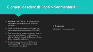 Glomeruloesclerosis Focal y Segmentaria
 Manifestaciones Clinicas.- Se encuentran en
pacientes con antecedentes de síndrome
nefrótico.
 Puede existir hematuria microscópica y los
pacientes suelen presentarse con HTA e IRC
 En el glomérulo se observa una lesión focal o
segmentaria de hialinosis y esclerosis con
adherencias en la capsula de Bowman y fusión
de los pies de los podocitos.
 Es idiopática , consumidores de heroína,
pacientes con VIH, pacientes con reflojo
vesicoureteral, sarcoidosis.
 Tratamiento.-
Esteroides e inmunosupresores
 