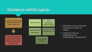 Glomérulo nefritis lupicia.-
La afección renal del LES se puede
localizar en el glomérulo, en el
intersticio, túbulos y vasos
se caracteriza por la presencia de
un síndrome nefrítico o nefrótico,
proteinuria, cilindruria, hematuria,
leucocituria, insuficiencia renal e
hipertensión arteria
 tratamiento renal y de acuerdo
a la evolución y clínica se
indican:
 prednisona, bolos de
metilprednisolona,
ciclofosfamida y ciclosporina A
Tipo I: Riñón normal
Tipo II:
Glomerulonefritis
proliferativa mesangial
Tipo III: Glomerulonefritis
proliferativa focal
Tipo IV: Glomerulonefritis
proliferativa difusa y Tipo
V: glomerulonefritis
membranosa
 