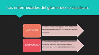 Las enfermedades del glomérulo se clasifican:
•cuando la anatomía patológica se limita al riñón y las
demás alteraciones generales son consecuencia directa
de aquella.
primarias
•Cuando forman parte de un trastorno multisistémico .
En general, el término agudo indica una lesión
glomerular que ocurren el plazo de días o semanas
Secundarias
 