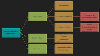 Clasificación general de las
glomerulonefritis.-
Síndrome Nefrítico
GN Postinfecciosa
GN Proliferativa mesangial difusa
* Nefropatía por IgA
* Purpura de Henoch-Shonlein
GN Rápidamente Progresiva
*GN antimembrana basal
glomerular
*GN con semilunas mediada por
complejos
*GNRP sin depósitos inmunes
Síndrome Nefrótico
*Enfermedad por cambios mínimos
*GN focal
*GN membranosa
*GN membranoproliferativa
Secundarias.
*Lupus eritematoso sistémico
*Nefropatía Diabética
 
