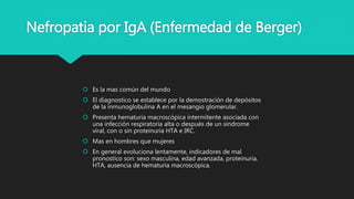Nefropatia por IgA (Enfermedad de Berger)
 Es la mas común del mundo
 El diagnostico se establece por la demostración de depósitos
de la inmunoglobulina A en el mesangio glomerular.
 Presenta hematuria macroscópica intermitente asociada con
una infección respiratoria alta o después de un síndrome
viral, con o sin proteinuria HTA e IRC.
 Mas en hombres que mujeres
 En general evoluciona lentamente, indicadores de mal
pronostico son: sexo masculina, edad avanzada, proteinuria,
HTA, ausencia de hematuria macroscópica.
 