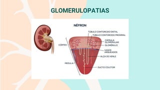 GLOMERULOPATIAS
 