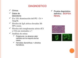 DIAGNOSTICO
 Clínica.
 Datos de
laboratorio
 Un 15% disminución del FG : Cr >
3mg/dl.
 Niveles de IgA sérica elevados 30-
50% casos.
 Niveles del complemento sérico (C3
y C4) son normales o ↑
 Análisis de orina:
 Proteinuria: no alcanza valor
nefrótico en la mayoría de los
casos.
 Hematies dismórficos + cilindros
hemáticos.
 Prueba diagnóstica
definitivo : BIOPSIA
RENAL
 