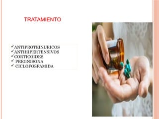 TRATAMIENTO
ANTIPROTEINURICOS
ANTIHIPERTENSIVOS
CORTICOIDES
 PREGNISONA
 CICLOFOSFAMIDA
 