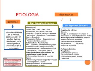 ETIOLOGIA
Son más frecuentes
en la infancia,
adolescencia y en
adultos jóvenes.
Afecta por igual a
ambos géneros.
Predominan en la
raza blanca.
Infecciones:
Virales: VHB – VHC – VEB – VIH
Bacterianas: endocarditis - abscesos
viscerales - Shunt VA infectado - Neisseria
Meningitidis - Mycoplasma Pneumoniae -
Lepra – Brucelosis
Protozoarias: Malaria – Esquistosomiasis
Fúngicas: Candida Albicans
Enfermedades Autoinmunes:
LES – Vasculitis - Enfermedad de Sjögren
Enfermedad mixta del tejido conjuntivo
Artritis reumatoide - Déficit hereditarios del
complemento - Enfermedad celiaca
Disproteinemias o enfermedades por
depósitos de paraproteínas
Enfermedad por deposito de cadenas
ligeras
Enfermedad por depósitos por depósitos de
cadenas pesadas y ligeras
Macroglobulinemia De Waldenstrom
Crioglobulinemia tipos I y II
Hepatopatía crónica:
Cirrosis
Cirugía de shunt esplenorrenal para el
tratamiento de la HTP (Hipertension Portal)
Microangiopatías trombóticas crónicas
Anemia de células falciformes
Glomerulopatía del trasplante
Esclerodermia / esclerosis
sistémica progresiva
Nefropatía Diabética
Neoplasias:
Linfoma no Hodgkiniano
Leucemia linfoide crónica
Carcinoma de células renales
Melanoma
Sin depósitos inmunes:
Con depósitos inmunes:
Primarias
Secundarias
 