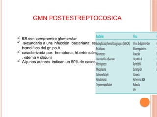 GMN POSTESTREPTOCOSICA
 ER con compromiso glomerular
 secundario a una infección bacteriana: estreptococo beta
hemolítico del grupo A
 caracterizada por: hematuria, hipertensión arterial , proteinuria
, edema y oliguria
 Algunos autores indican un 50% de casos son asintomáticos .
 