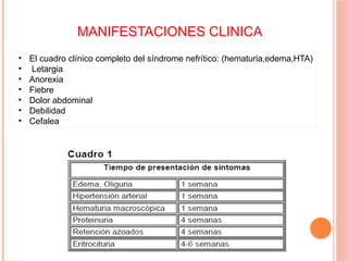 MANIFESTACIONES CLINICA
• El cuadro clínico completo del síndrome nefrítico: (hematuria,edema,HTA)
• Letargia
• Anorexia
• Fiebre
• Dolor abdominal
• Debilidad
• Cefalea
 