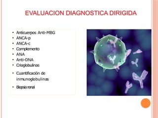 EVALUACION DIAGNOSTICA DIRIGIDA
• Anticuerpos Anti-MBG
• ANCA-p
• ANCA-c
• Complemento
• ANA
• Anti-DNA
• Crioglobulinas
• Cuantificación de
inmunoglobulinas
• Biopsiarenal
 