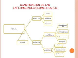 CLASIFICACION DE LAS
ENFERMEDADES GLOMERULARES
PRIMARIAS
EVOLUCION
AGUDA
SUBAGUDA
CRONICAS
HISTOLOGIA
GMN
PROLIFERATIVAS
Mesangial por IgA,
IgM
Membranoproliferati
va o mesangiocapilar
Posestreptococica
Extracapilar
GMN NO
PROLIFERATIVAS
Cambios
mínimos
Glomeruloesclerosis
segmentaria o total
Membranosa o
extramenbranosa
CLINICA
 