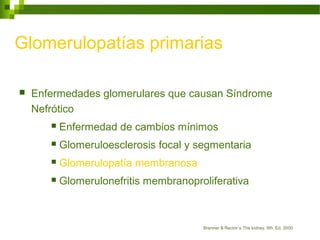Glomerulopatías primarias
 Enfermedades glomerulares que causan Síndrome
Nefrótico
 Enfermedad de cambios mínimos
 Glomeruloesclerosis focal y segmentaria
 Glomerulopatía membranosa
 Glomerulonefritis membranoproliferativa
Brenner & Rector´s The kidney, 6th. Ed, 2000
 