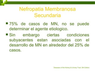 Nefropatia Membranosa
Secundaria
 75% de casos de MN, no se puede
determinar el agente etiologico.
 Sin embargo ciertas condiciones
subyacentes estan asociadas con el
desarrollo de MN en alrededor del 25% de
casos.
Diseases of the Kidney & Urinary Tract, 8th Edition
 