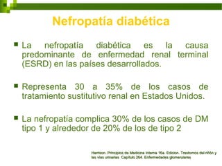 Nefropatía diabética
 La nefropatía diabética es la causa
predominante de enfermedad renal terminal
(ESRD) en las países desarrollados.
 Representa 30 a 35% de los casos de
tratamiento sustitutivo renal en Estados Unidos.
 La nefropatía complica 30% de los casos de DM
tipo 1 y alrededor de 20% de los de tipo 2
Harrison. Principios de Medicina Interna 16a. Edicion. Trastornos del riñón yHarrison. Principios de Medicina Interna 16a. Edicion. Trastornos del riñón y
las vías urinarias Capítulo 264. Enfermedades glomerulareslas vías urinarias Capítulo 264. Enfermedades glomerulares
 