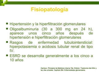Fisiopatología
 Hipertensión y la hiperfiltración glomerulares
 Oligoalbuminuria (30 a 300 mg en 24 h),
aparece unos cinco años después de
hipertensión e hiperfiltración glomerulares
 Rasgos de enfermedad tubulointersticial:
hiperpotasiemia o acidosis tubular renal de tipo
IV.
 ESRD se desarrolla generalmente a los cinco a
10 años
Harrison. Principios de Medicina Interna 16a. Edicion. Trastornos del riñón yHarrison. Principios de Medicina Interna 16a. Edicion. Trastornos del riñón y
las vías urinarias Capítulo 264. Enfermedades glomerulareslas vías urinarias Capítulo 264. Enfermedades glomerulares
 