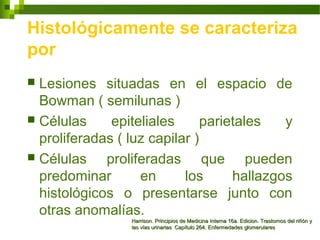 Histológicamente se caracteriza
por
 Lesiones situadas en el espacio de
Bowman ( semilunas )
 Células epiteliales parietales y
proliferadas ( luz capilar )
 Células proliferadas que pueden
predominar en los hallazgos
histológicos o presentarse junto con
otras anomalías.
Harrison. Principios de Medicina Interna 16a. Edicion. Trastornos del riñón yHarrison. Principios de Medicina Interna 16a. Edicion. Trastornos del riñón y
las vías urinarias Capítulo 264. Enfermedades glomerulareslas vías urinarias Capítulo 264. Enfermedades glomerulares
 
