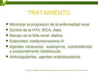 TRATAMIENTO
 Minimizar la progresion de la enfermedad renal
 Control de la HTA: IECA, dieta
 Manejo de la falla renal: dialisis
 Esteroides: metilprednisolona IV
 Agentes citotoxicos: azatioprina, ciclofosfamida
y ocasionalmente cloranbucilo
 Anticoagulantes, agentes antiplaquetarios
Chapter 60 - Rapidly Progressive Glomerulonephritis. Diseases of the Kidney & Urinary Tract, 8th Edition
 