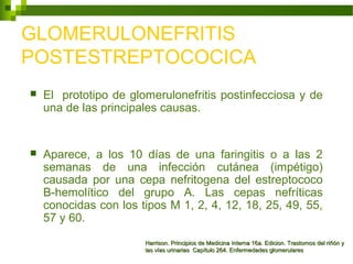 GLOMERULONEFRITIS
POSTESTREPTOCOCICA
 El prototipo de glomerulonefritis postinfecciosa y de
una de las principales causas.
 Aparece, a los 10 días de una faringitis o a las 2
semanas de una infección cutánea (impétigo)
causada por una cepa nefritogena del estreptococo
B-hemolítico del grupo A. Las cepas nefríticas
conocidas con los tipos M 1, 2, 4, 12, 18, 25, 49, 55,
57 y 60.
Harrison. Principios de Medicina Interna 16a. Edicion. Trastornos del riñón yHarrison. Principios de Medicina Interna 16a. Edicion. Trastornos del riñón y
las vías urinarias Capítulo 264. Enfermedades glomerulareslas vías urinarias Capítulo 264. Enfermedades glomerulares
 