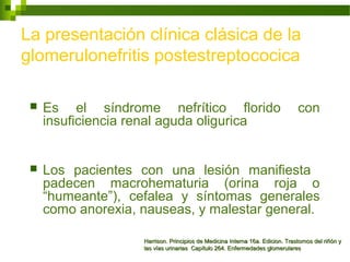 La presentación clínica clásica de la
glomerulonefritis postestreptococica
 Es el síndrome nefrítico florido con
insuficiencia renal aguda oligurica
 Los pacientes con una lesión manifiesta
padecen macrohematuria (orina roja o
“humeante”), cefalea y síntomas generales
como anorexia, nauseas, y malestar general.
Harrison. Principios de Medicina Interna 16a. Edicion. Trastornos del riñón yHarrison. Principios de Medicina Interna 16a. Edicion. Trastornos del riñón y
las vías urinarias Capítulo 264. Enfermedades glomerulareslas vías urinarias Capítulo 264. Enfermedades glomerulares
 