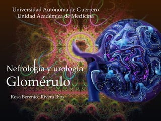 {
Glomérulo
Rosa Berenice Rivera Ríos
Universidad Autónoma de Guerrero
Unidad Académica de Medicina
Nefrología y urología
 
