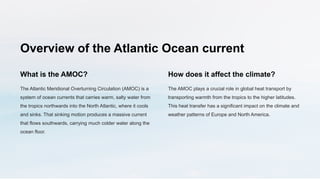 Gloomy Climate Calculation Collapse of Atlantic Ocean Current Predicted ...