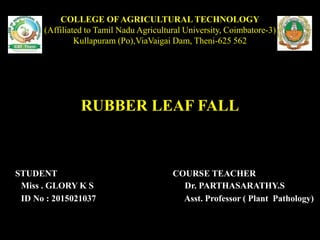 COLLEGE OFAGRICULTURAL TECHNOLOGY
(Affiliated to Tamil Nadu Agricultural University, Coimbatore-3)
Kullapuram (Po),ViaVaigai Dam, Theni-625 562
RUBBER LEAF FALL
STUDENT COURSE TEACHER
Miss . GLORY K S Dr. PARTHASARATHY.S
ID No : 2015021037 Asst. Professor ( Plant Pathology)
 