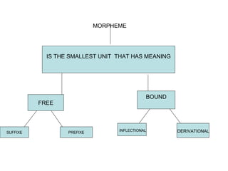 MORPHEME IS THE SMALLEST UNIT  THAT HAS MEANING BOUND FREE SUFFIXE PREFIXE DERIVATIONAL  INFLECTIONAL 