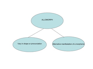 ALLOMORPH Vary in shape or pronunciation Alternative manifestation of a morpheme 