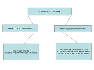 KINDS OF ALLOMORPH PHONOLOGICAL CONDITIONING MORPHOLOGICAL CONDITIONING ARE THE DIFERENTS FORM OF PRONUNCIATION OF A PHONEM THE VARIATION CAN NOT BE STATED IN TERMS OF THE PHONEMIC ENVIRONMENT TO STUDY THE FORM OF THE PHONEMA  