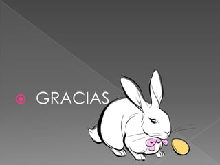    GRACIAS
 