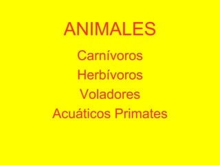 ANIMALES
   Carnívoros
   Herbívoros
    Voladores
Acuáticos Primates
 